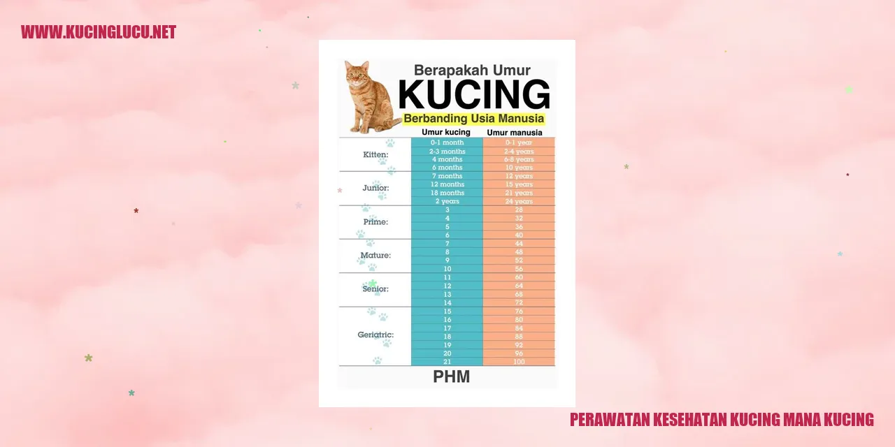 Perawatan Kesehatan Kucing