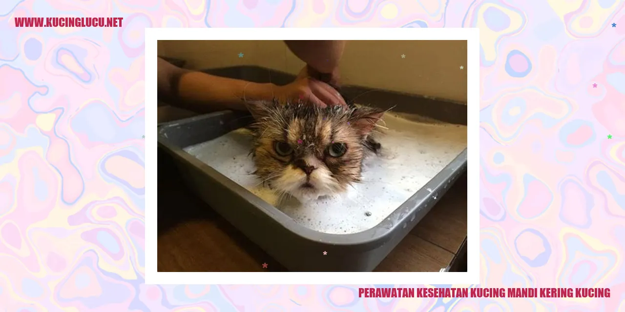 Gambar Kucing dalam Proses Mandi Kering