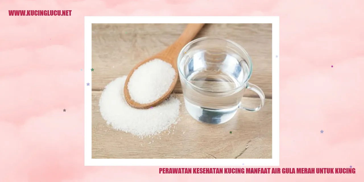 Perawatan Kesehatan Kucing