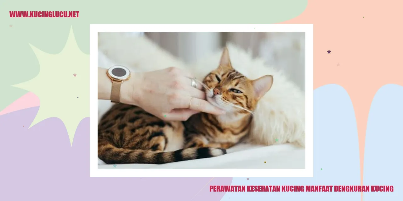 Perawatan Kesehatan Kucing