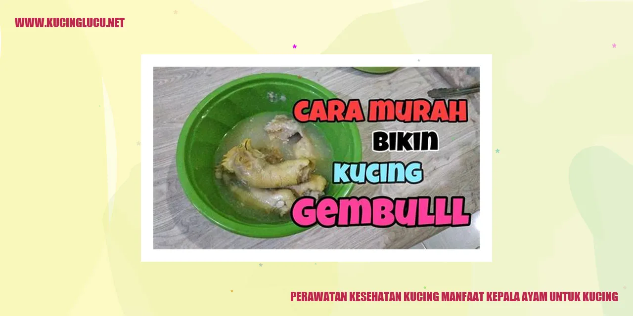 Kepala Ayam untuk Kucing