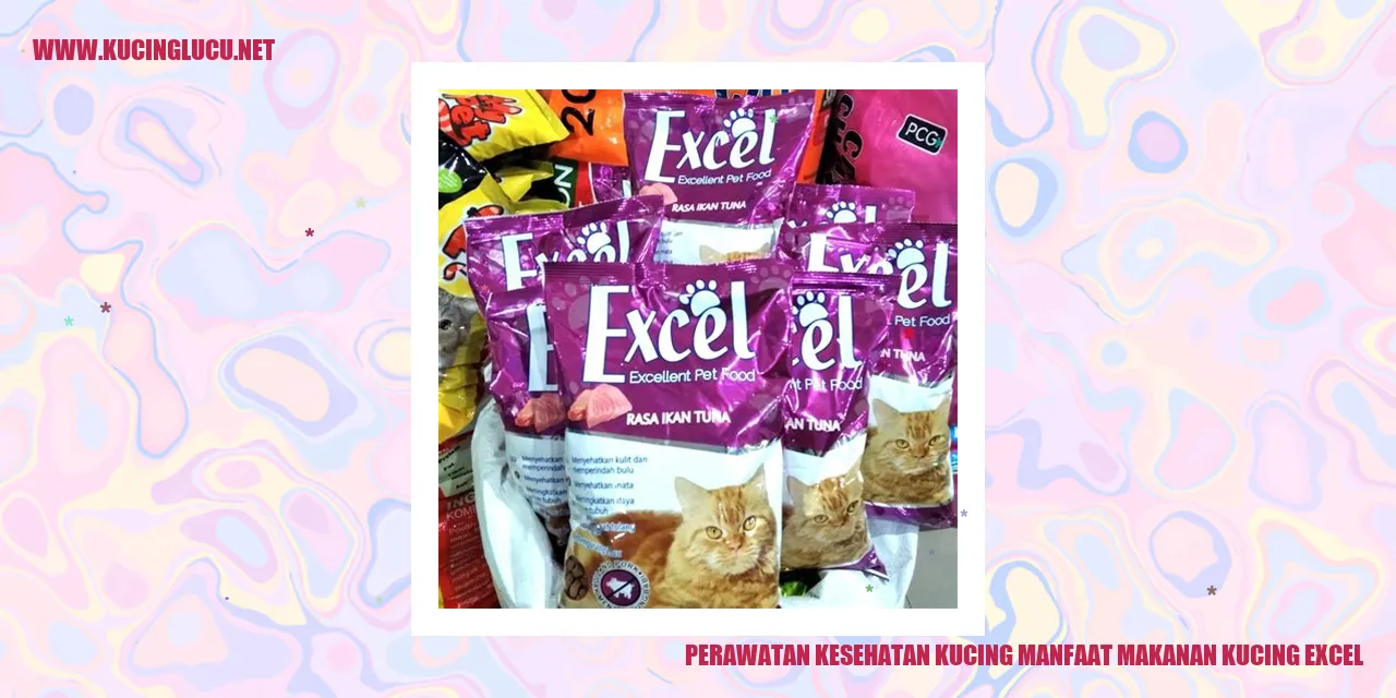 Perawatan Kesehatan Kucing