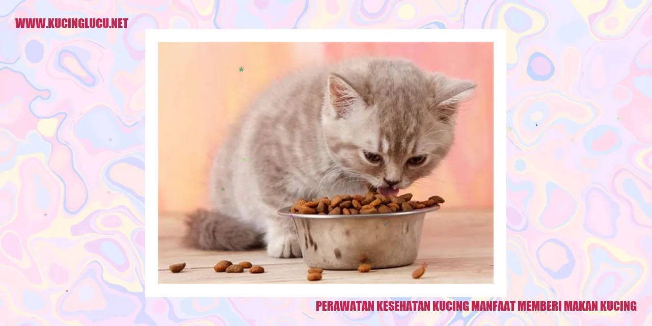 Gizi Kucing