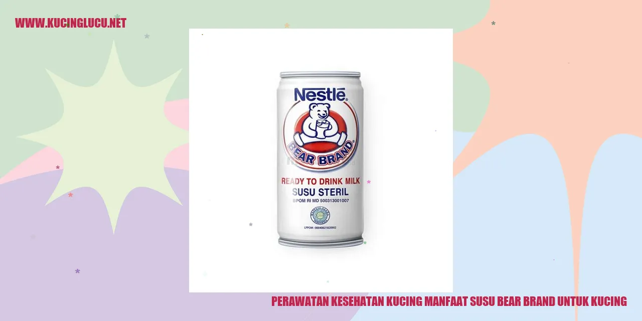 Gambar Kucing Menikmati Susu Bear Brand