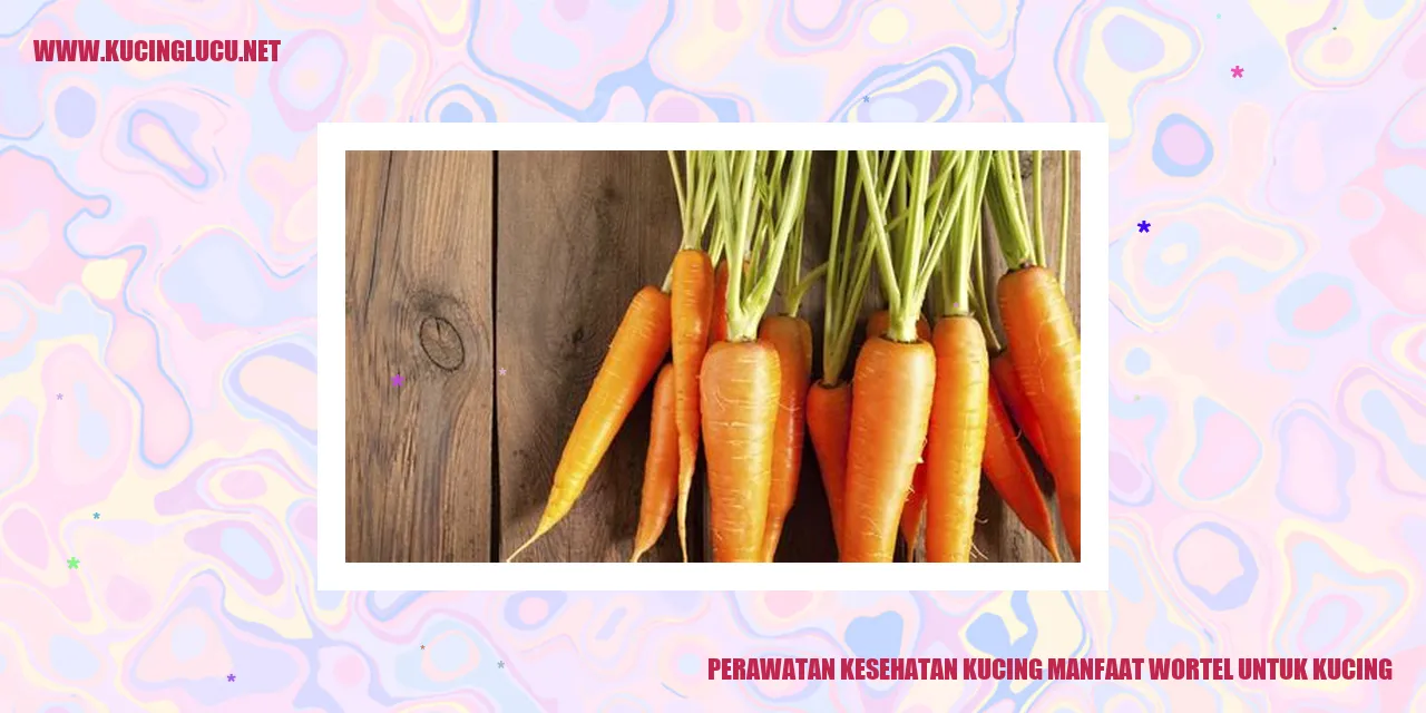 Gambar seekor kucing tengah menikmati wortel
