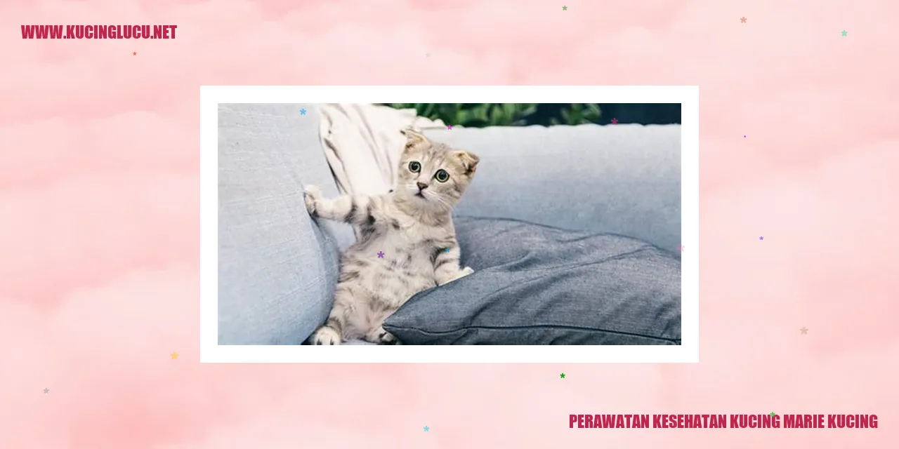 Perawatan Kesehatan Kucing Marie