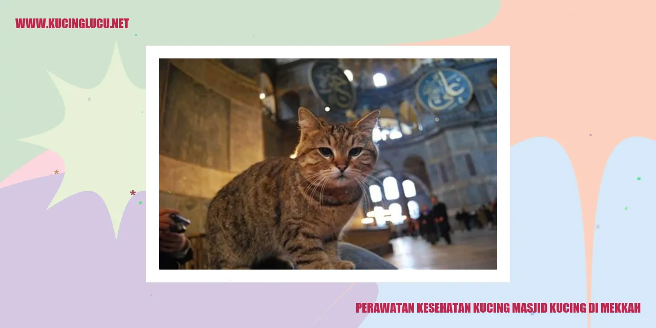 Gambar Kucing di Masjid Kucing di Mekkah