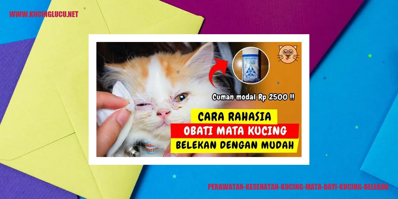 Kucing Mata Belekan