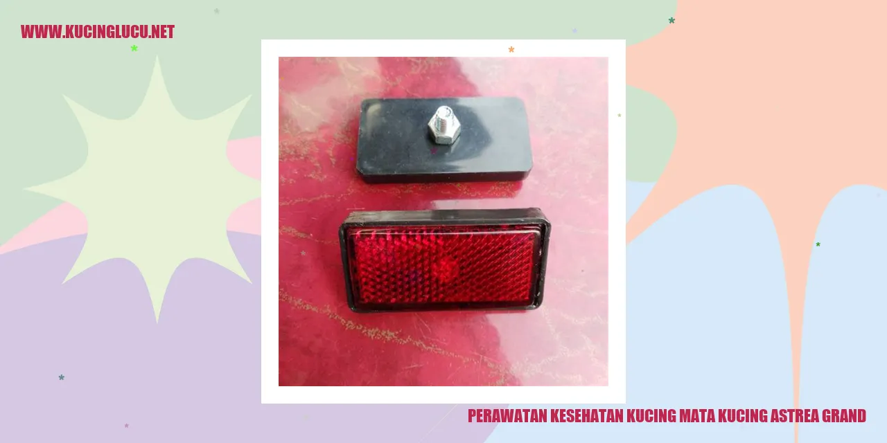 Perawatan Kesehatan Kucing Mata Kucing Astrea Grand