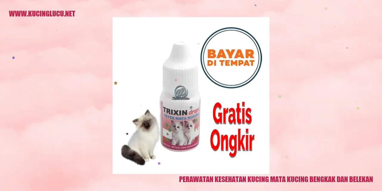 Perawatan Kesehatan Kucing