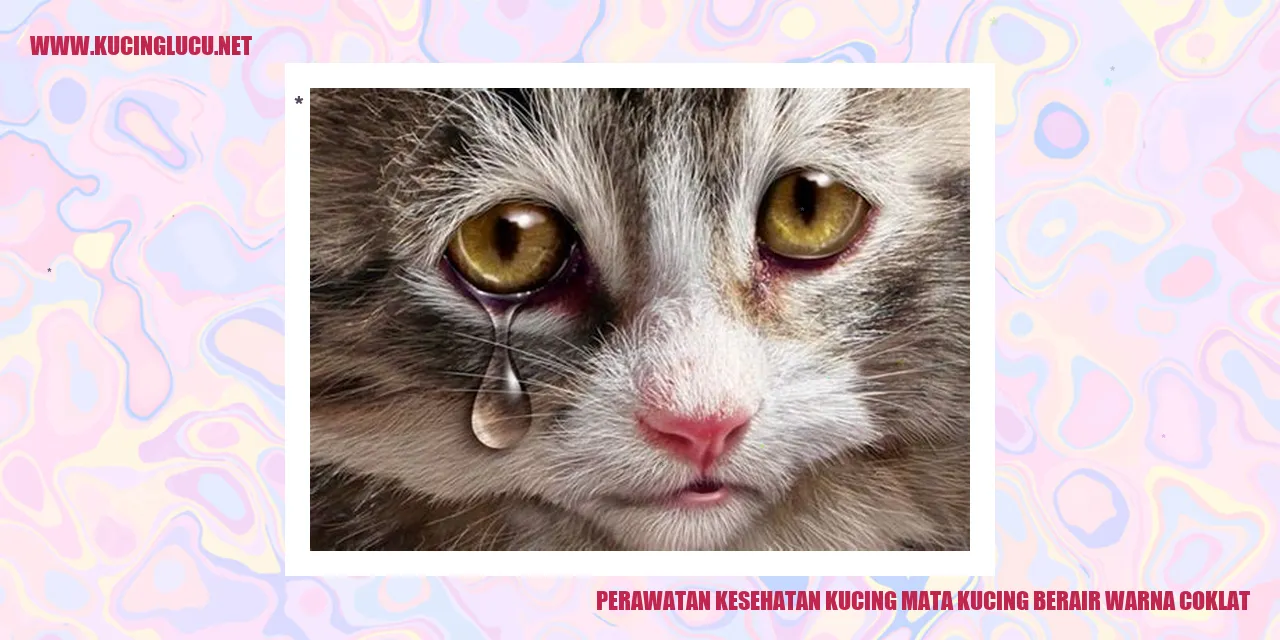 Gambar Kucing Mata Berair