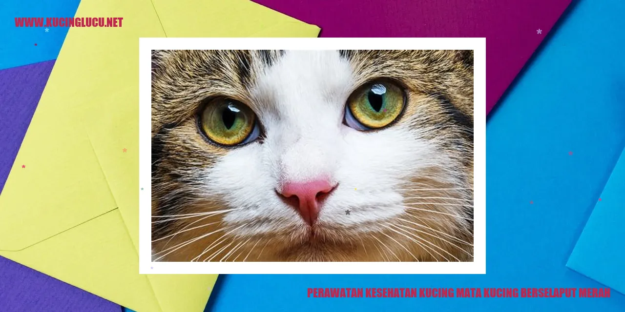 Mata Kucing Berselaput Merah