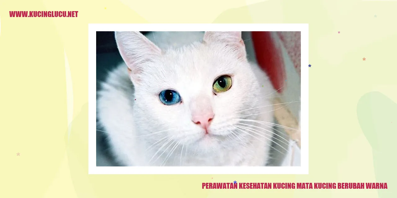 Perawatan Kesehatan Kucing: Mata Kucing Berubah Warna