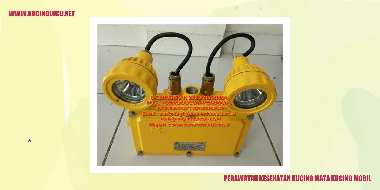 Perawatan Kesehatan Kucing Mata Kucing Mobil