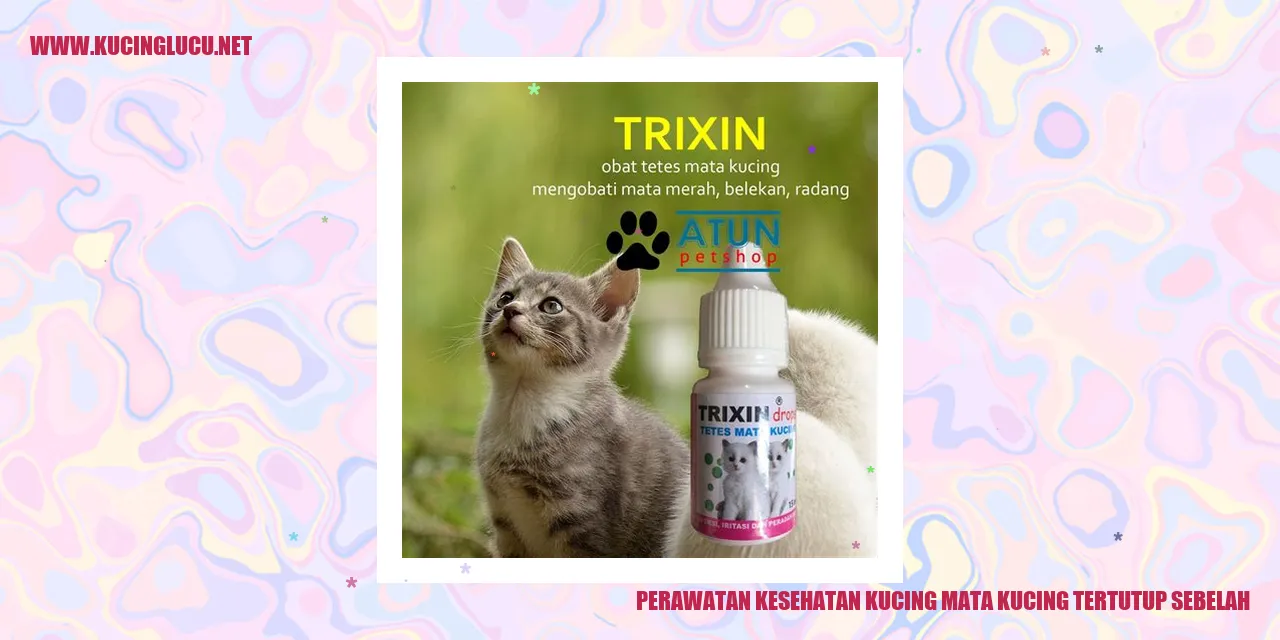 Perawatan Kesehatan Kucing mata kucing tertutup sebelah