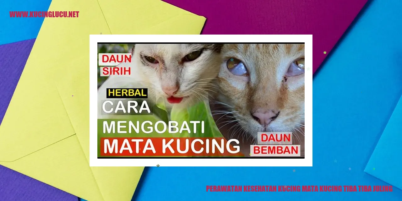 Mata Kucing Tiba-tiba Juling