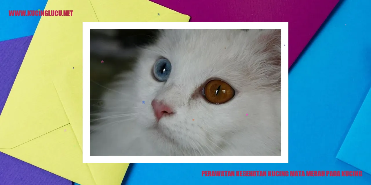 Perawatan Kucing dengan Mata Merah