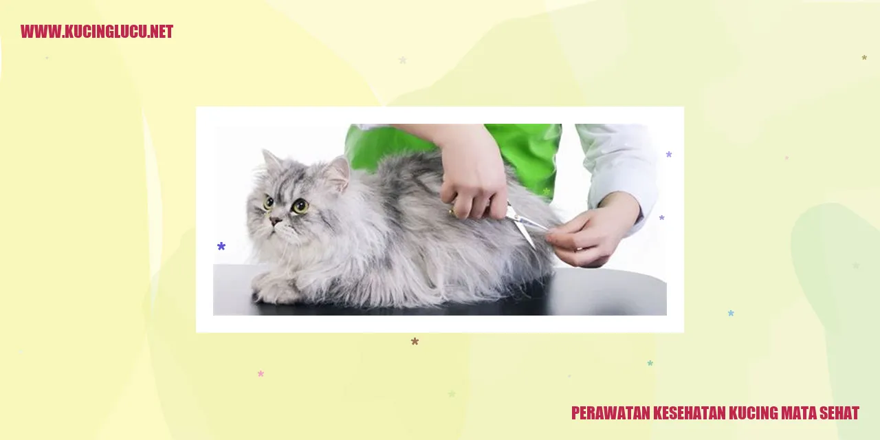 Perawatan Kesehatan Kucing Mata Sehat