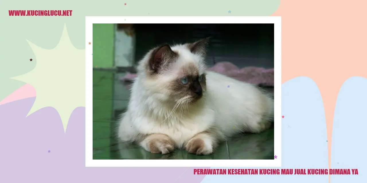 Perawatan Kesehatan Kucing mau jual kucing dimana ya
