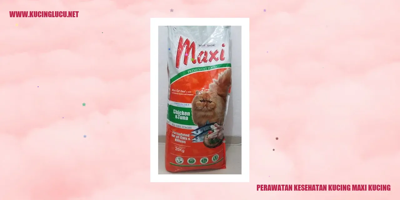 Perawatan Kesehatan Kucing Maxi Kucing