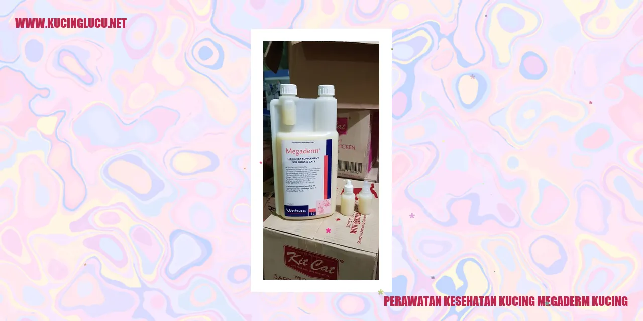 Perawatan Kesehatan Kucing dengan Megaderm Kucing