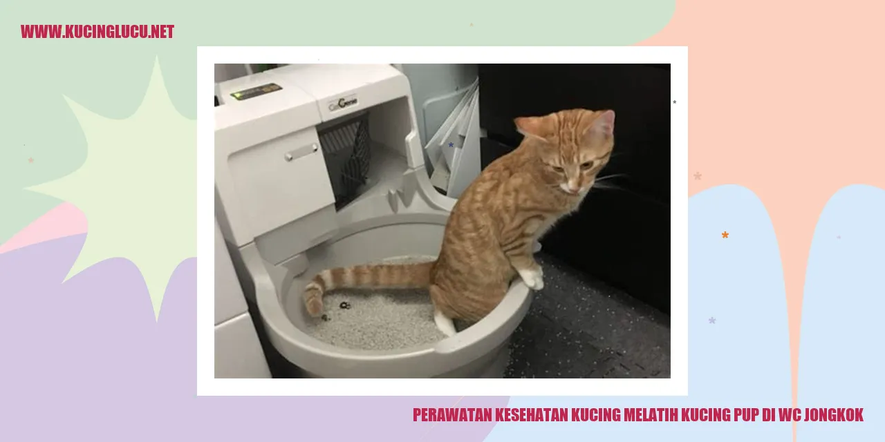 kucing pup di kloset