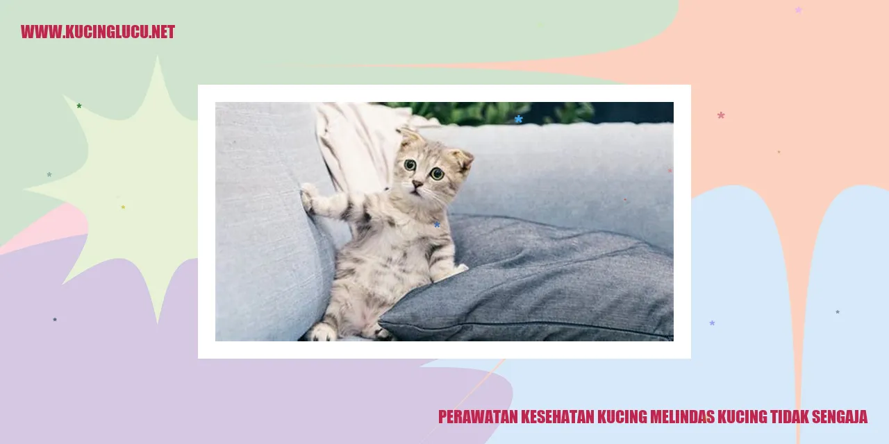 Perawatan Kesehatan Kucing