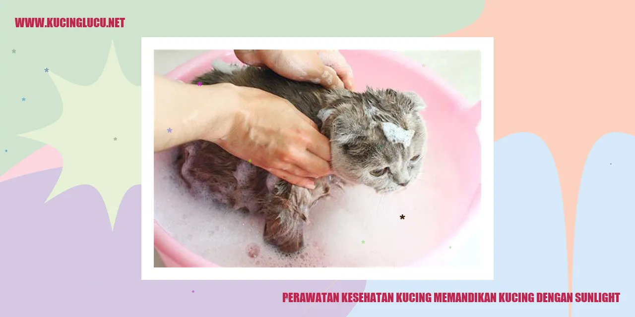 Kucing terpapar sinar matahari