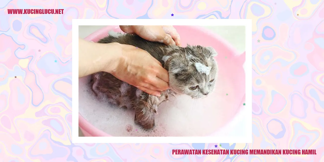 Kucing hamil