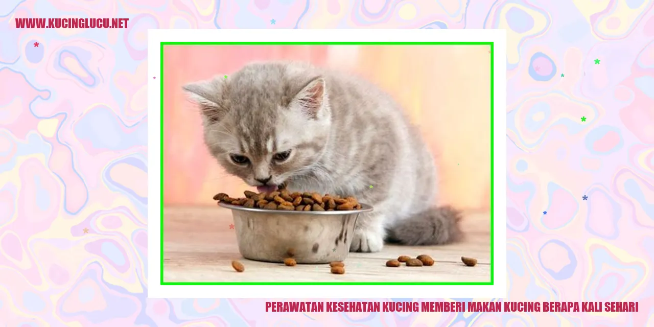 gambar kucing yang menggemaskan