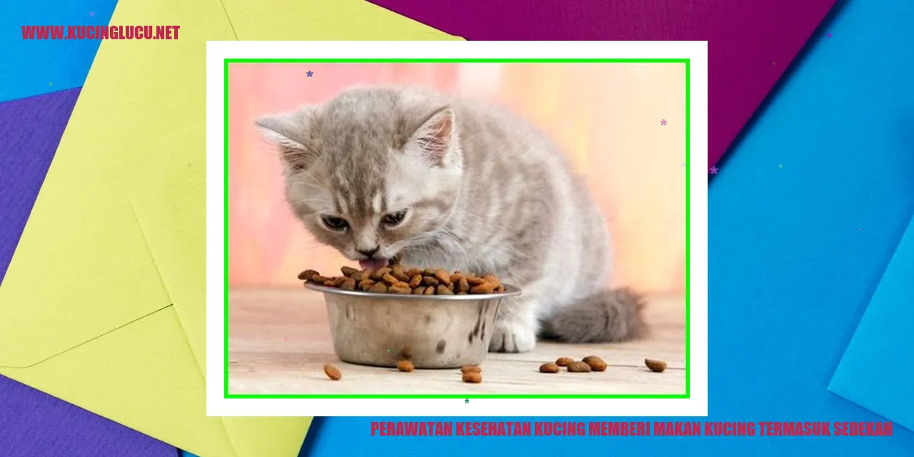Gambar Kucing