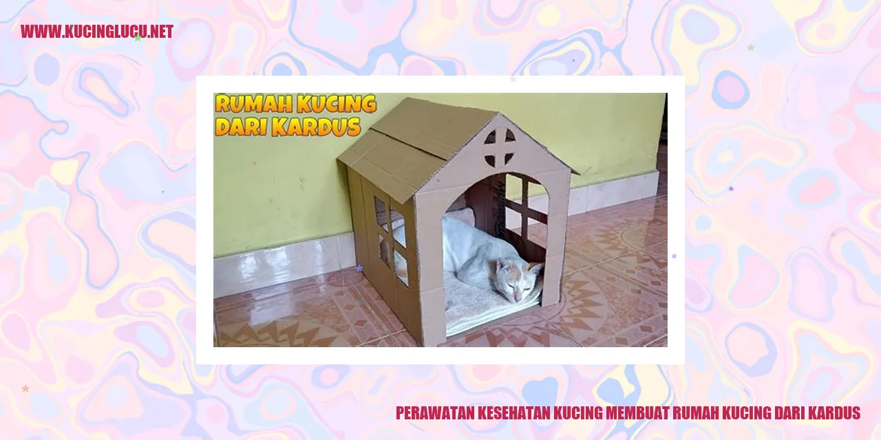 Rumah kucing dari kardus