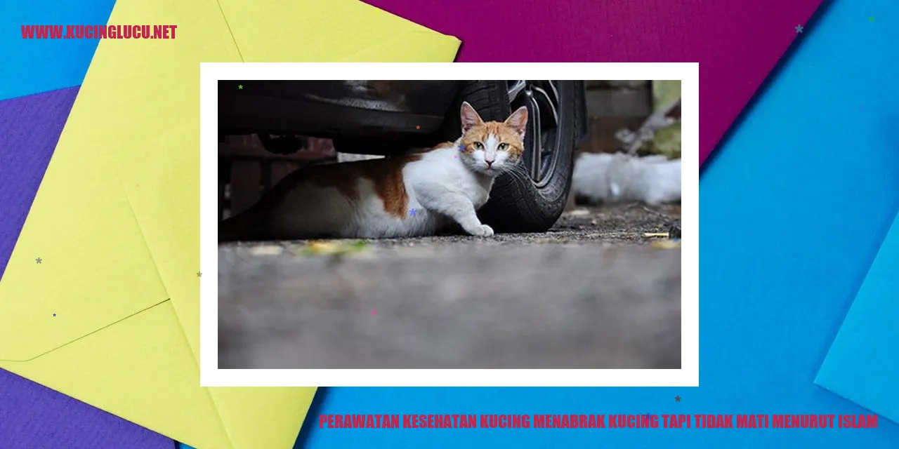 Perawatan Kesehatan Kucing Menabrak Tapi Tidak Mati Menurut Islam