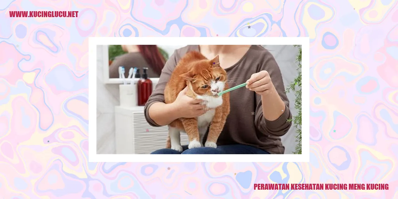 Perawatan Kesehatan Kucing