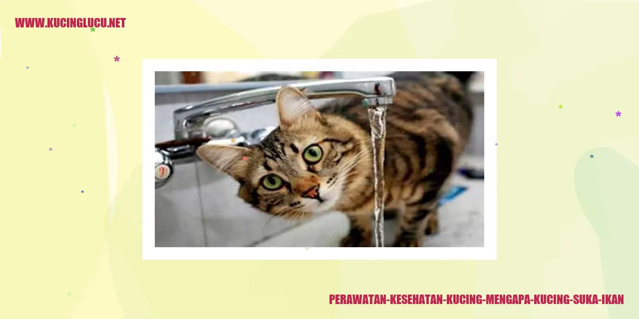 Kucing Suka Ikan