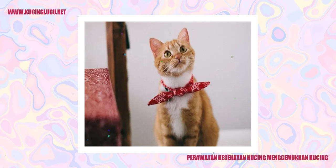 Gambar kucing