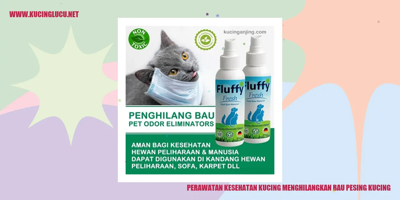 Perawatan Kesehatan Kucing menghilangkan bau pesing kucing