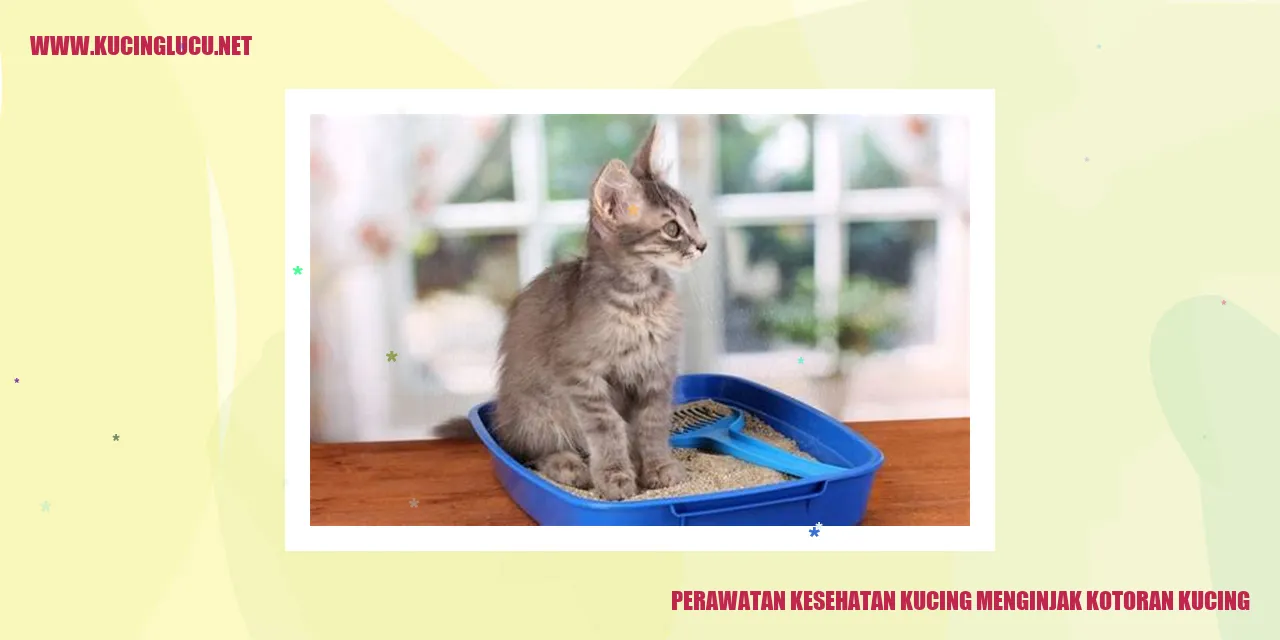 Perawatan Kesehatan Kucing
