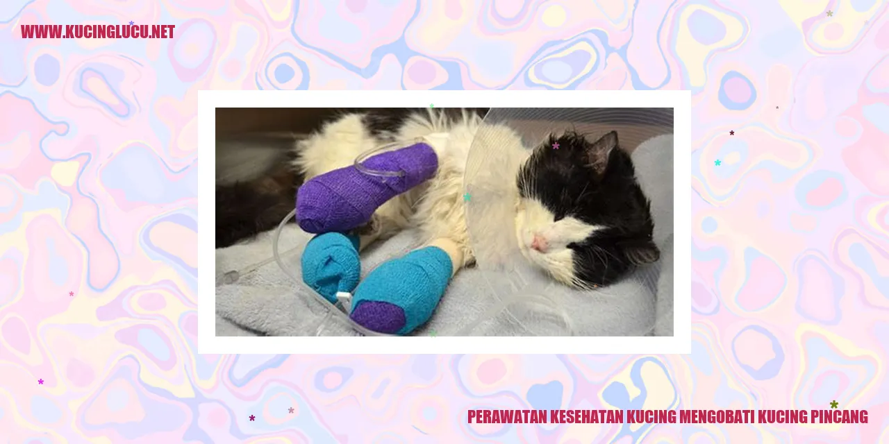 Gambar Perawatan Kesehatan Kucing