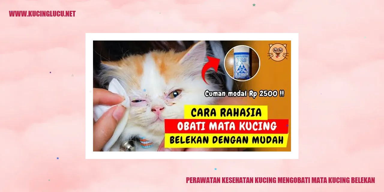 Perawatan Kesehatan Kucing mengobati mata kucing belekan