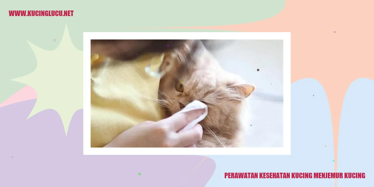 Perawatan Kesehatan Kucing menjemur kucing