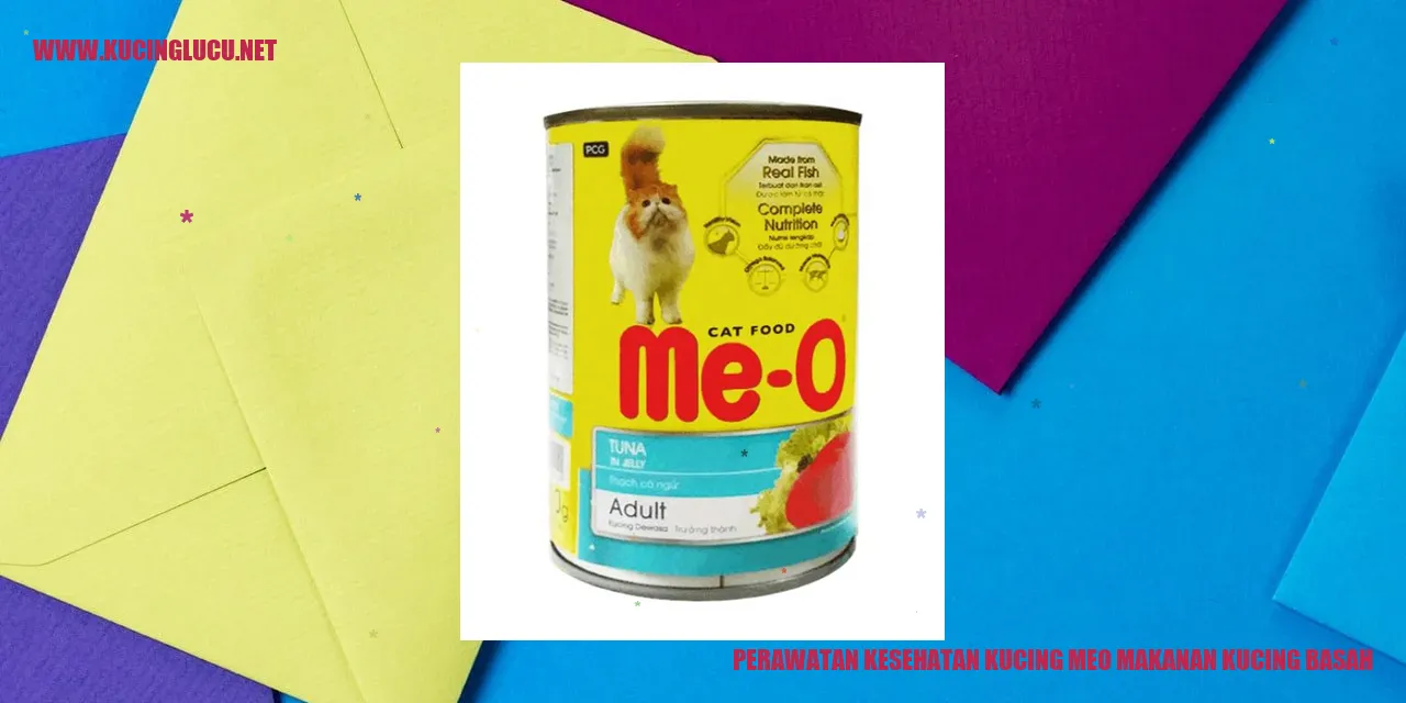Gambar Kucing Makanan Basah