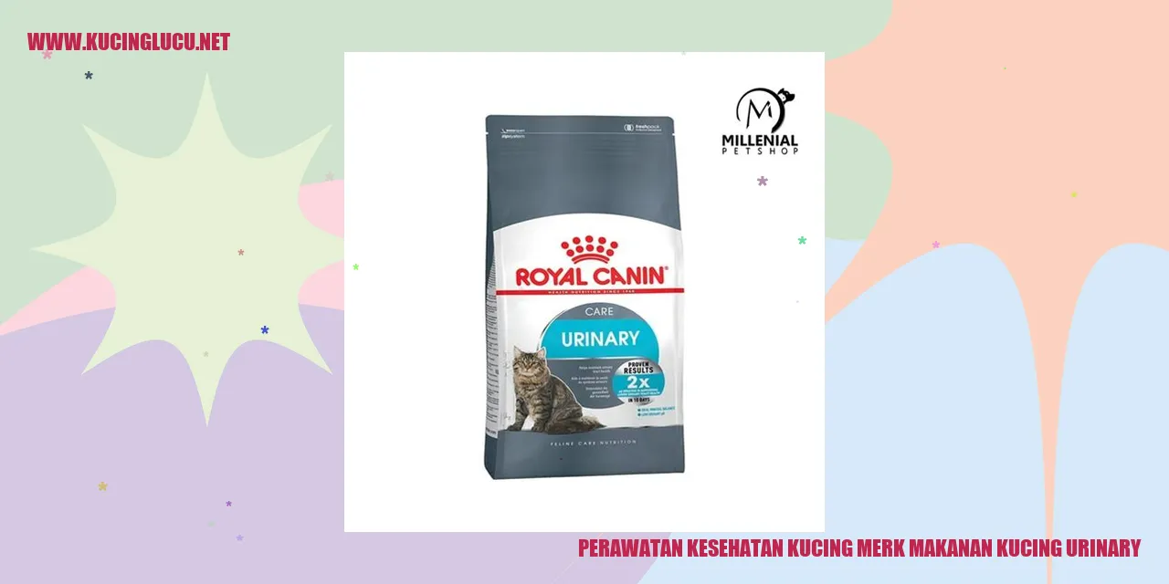 Perawatan Kesehatan Kucing dengan Makanan Kucing Urinary