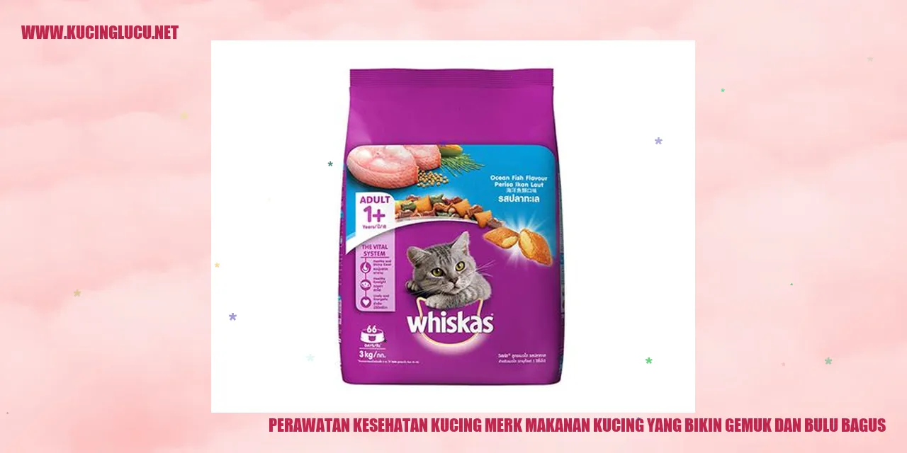 Gambar makanan kucing