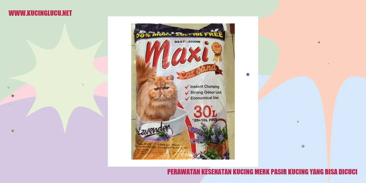Perawatan Kesehatan Kucing