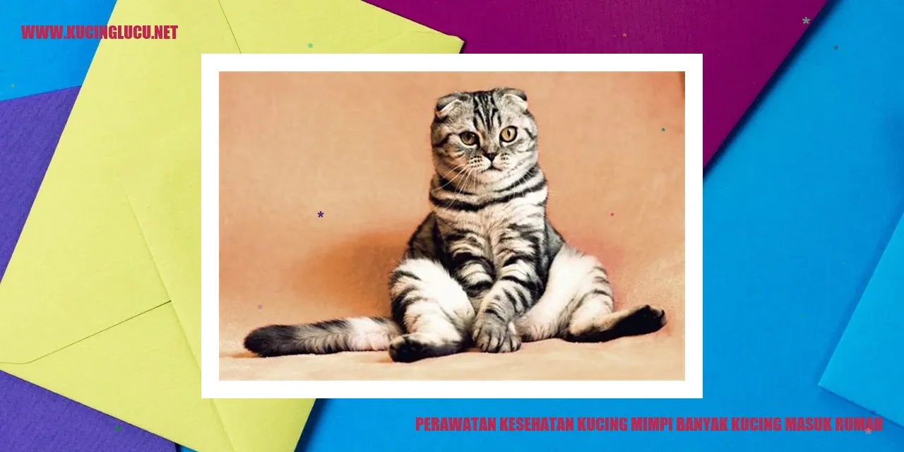 Perawatan Kesehatan Kucing