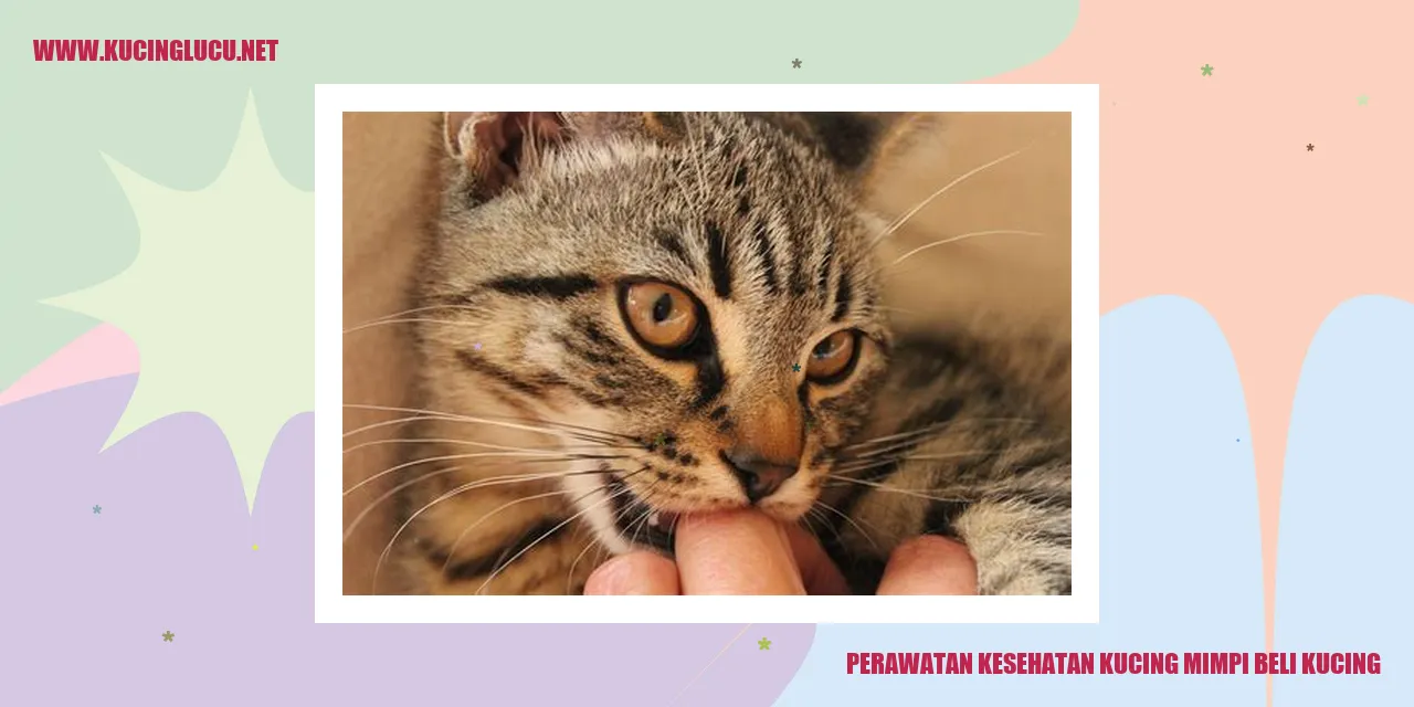 Perawatan Kesehatan Kucing