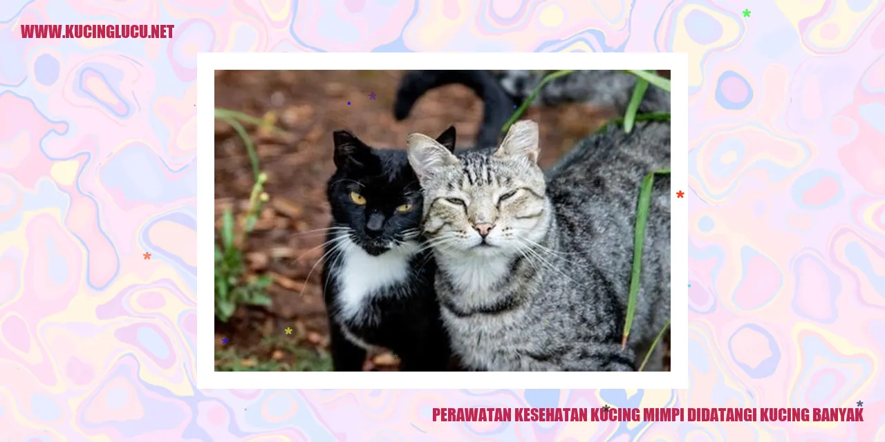 Perawatan Kesehatan Kucing