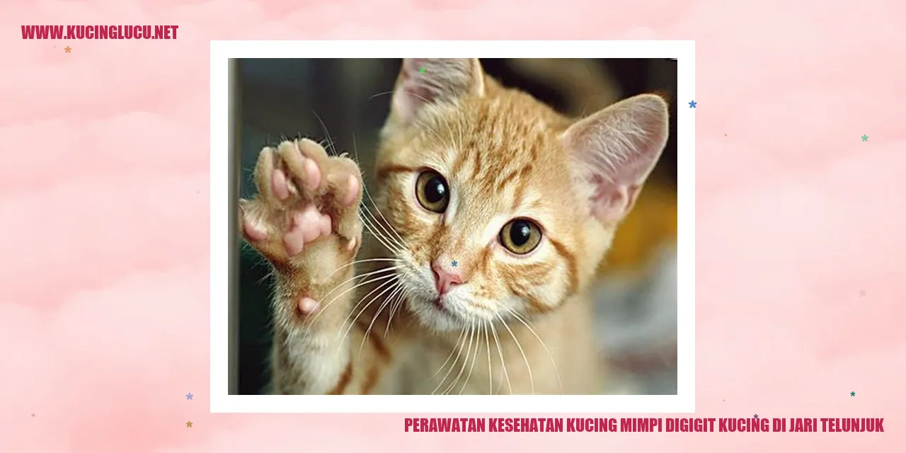 Perawatan Kucing