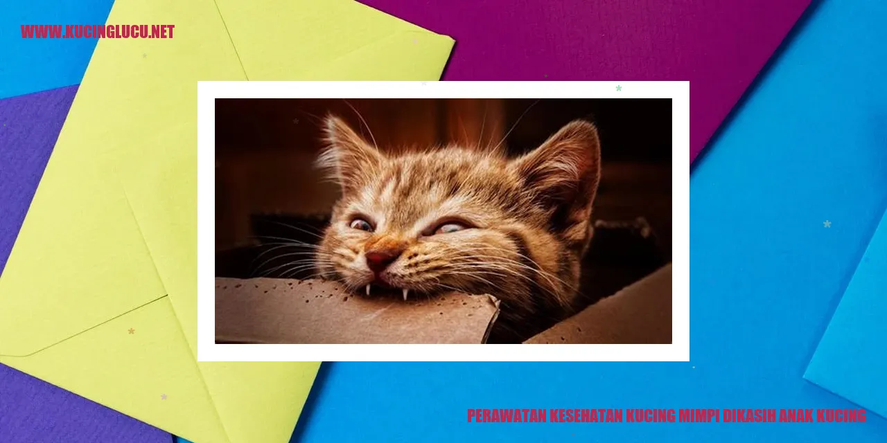 Kucing dan anak kucing